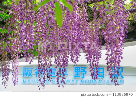 Noda Fuji in front of Hanshin Noda Station 113956970