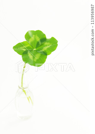 Vase and four-leaf clover (no people, copy space, simple) 113956987