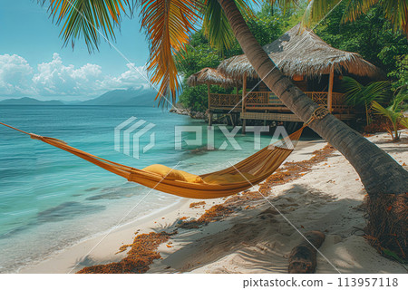 Beach scene with a hammock hanging over the water. The hammock is tied to a tree and is the only thing visible on the beach. Summer vacation and tropical vacation concept 113957118