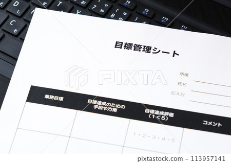 目標管理表,用於明確定義個人和團隊成就目標並跟踪進度的工具 目標管理表,用於明確定義個人和團隊成就目標並跟踪進度的工具 113957141