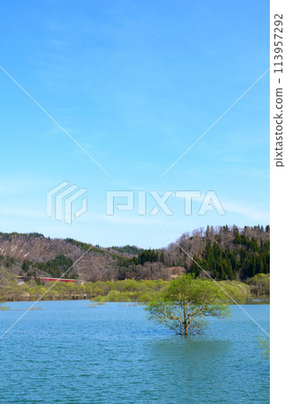 山形縣飯豐町白河湖水下森林 山形縣飯豐町白河湖水下森林 113957292