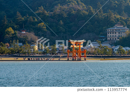 Otori at Itsukushima Shrine as seen from the sea Otori at Itsukushima Shrine as seen from the sea 113957774
