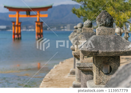 Floating torii gate and stone lantern 113957779