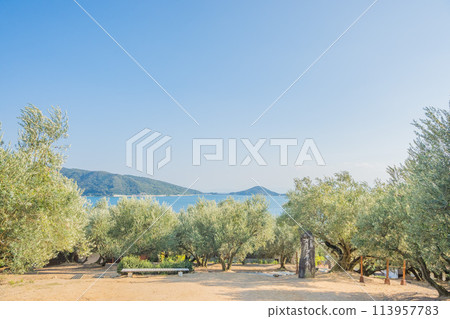 Summer vacation trip to Shodoshima, located in the Seto Inland Sea; stroll through the olive groves of this popular tourist destination 113957783