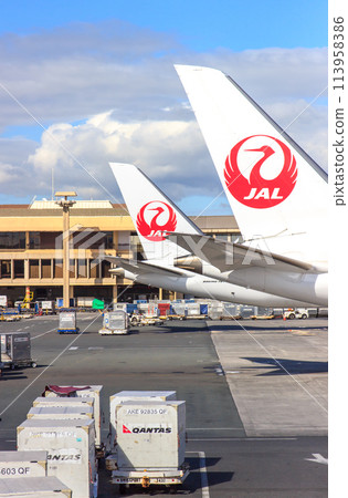 Airport scenery in Hawaii 113958386