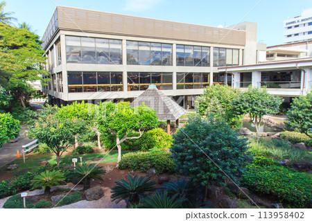 Airport scenery in Hawaii 113958402