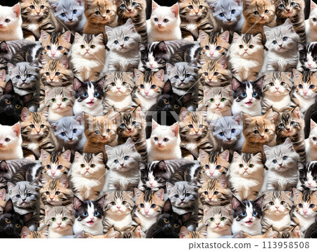 Cat seamless pattern ⑤ A' (PNG) 113958508