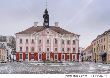 Tartu, Estonia, Raekoja Square and Town Hall in winter / Tartu, Estonia 113958754