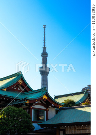 天空樹和龜戶天神社 天空樹和龜戶天神社 113958989