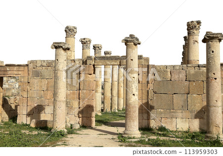 Roman ruins (carved on white background) in the Jordanian city of Jerash (Gerasa of Antiquity), capital and largest city of Jerash Governorate, Jordan 113959303