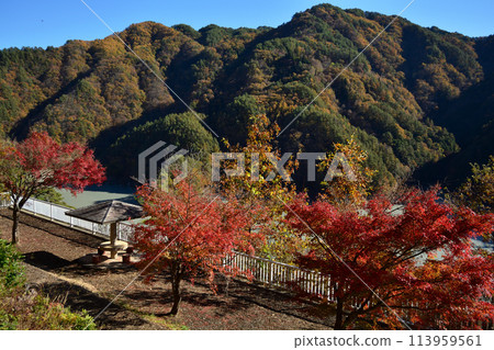 從小澀水庫展望台欣賞小澀湖和秋葉 113959561