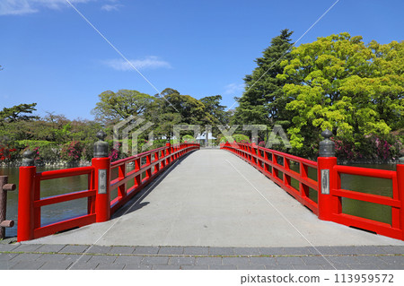 小田原城 水堀和學橋 113959572