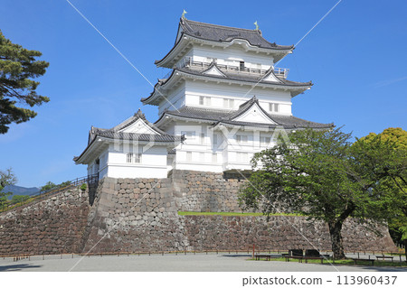 小田原城堡城堡塔 113960437