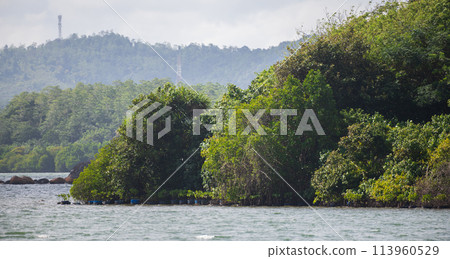 Madol Duwa lush green islands landscape Madol Duwa lush green islands landscape 113960529
