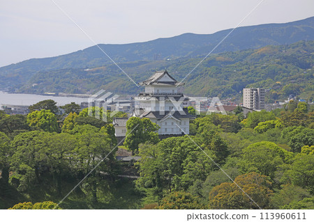 小田原城堡城堡塔 113960611