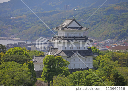 Odawara castle castle tower 113960636