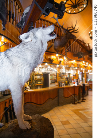 a wolf in the interior of a rustic restaurant 113960740