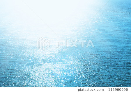 Sea and sunlight 113960996