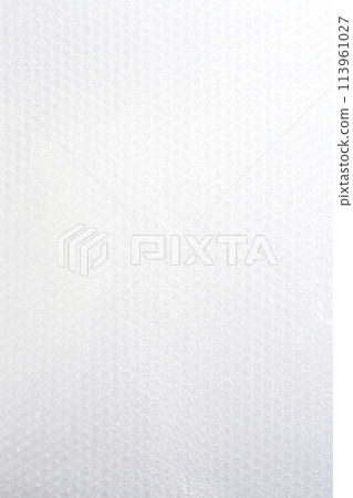 Packing material 113961027