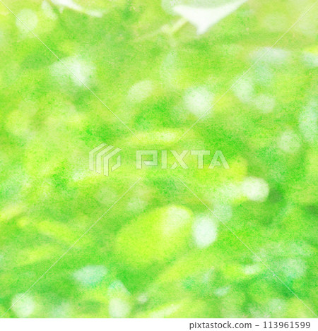 Fresh green water color 113961599