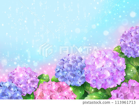 Hydrangea and rain background - Rainy season image 113961713