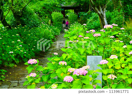 古色古香的三河繡球寺，有石頭鋪成的道路 113961771