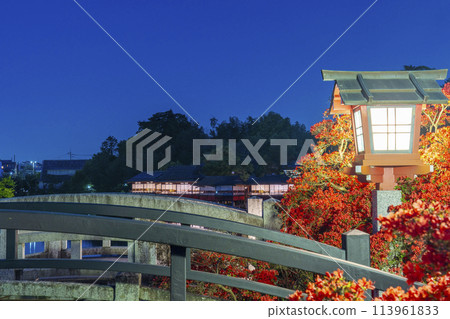 京都長岡天滿宮銀水亭與霧島杜鵑夜景 113961833
