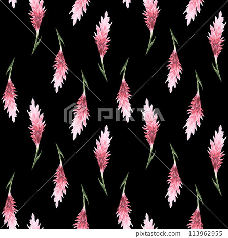 Hand drawn watercolor pattern flowers. Ginger flowers. tropical theme. For fabric, wrap paper, wallpaper, textile. Hand drawn watercolor pattern flowers. Ginger flowers. tropical theme. For fabric, wrap paper, wallpaper, textile. 113962955