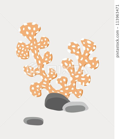 orange coral with gray stones isolated on white background 113963471