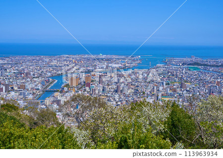 從德島縣德島市眉山町眉山公園眺望德島市(東南側) 從德島縣德島市眉山町眉山公園眺望德島市(東南側) 113963934