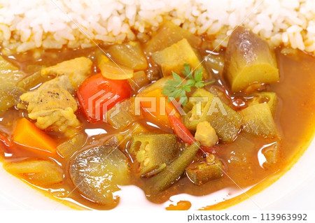 夏季蔬菜咖哩茄子秋葵明亮背景 113963992