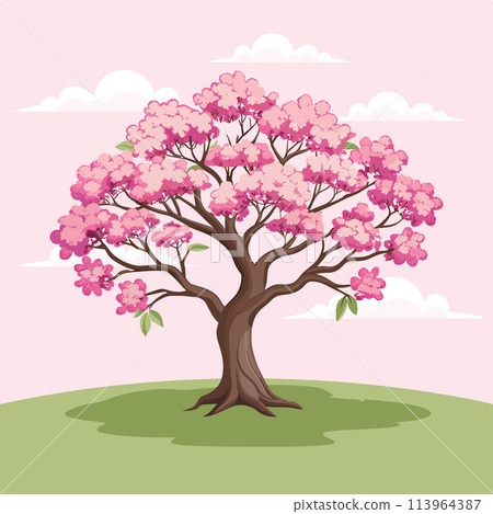 Beautiful cherry blossom tree with pink flowers. Sakura illustration. Vector Beautiful cherry blossom tree with pink flowers. Sakura illustration. Vector 113964387