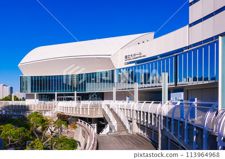 A clear day at the Pacifico Yokohama National Hall (Minato Mirai, Yokohama) 113964968