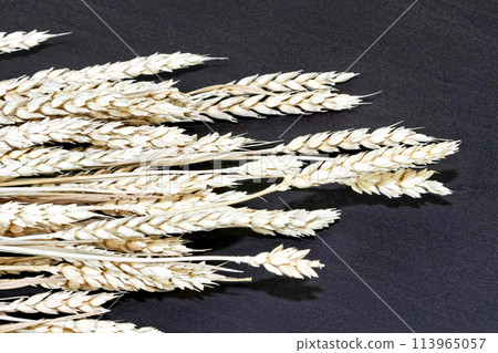Wheat 113965057