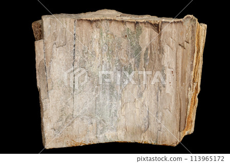 Macro stone mineral petrified wood on a black background 113965172