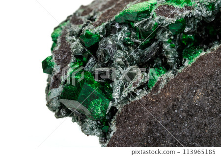 Macro stone garnet mineral, Uvarovite in rock on a white background 113965185