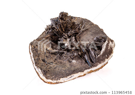 Macro stone Vivianite mineral on white background 113965458