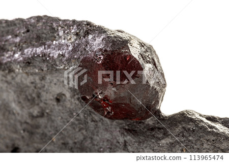 Macro mineral stone Garnet in rock on a white background 113965474