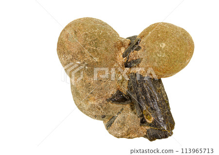 Macro stone Prehnite mineral on white background Macro stone Prehnite mineral on white background 113965713