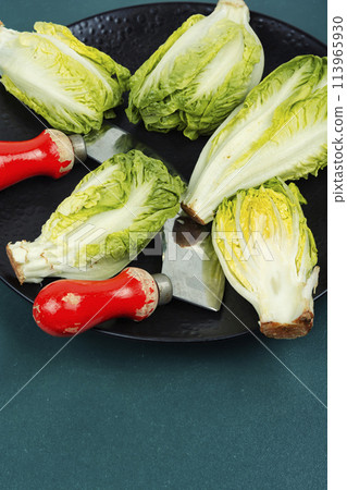 Group of Romaine lettuce hearts 113965930