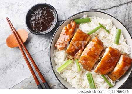 Homemade soy sauce chicken has silky tender meat with a deep savory flavor served with rice and dipping sauce closeup. Horizontal top view Homemade soy sauce chicken has silky tender meat with a deep savory flavor served with rice and dipping sauce closeup. Horizontal top view 113966026