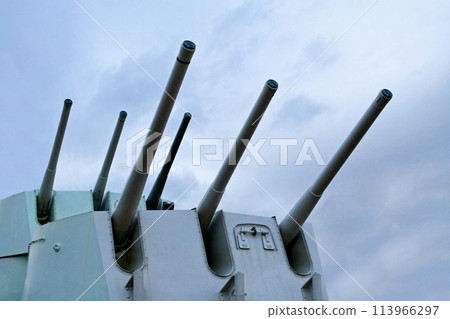 Canon Canon 113966297