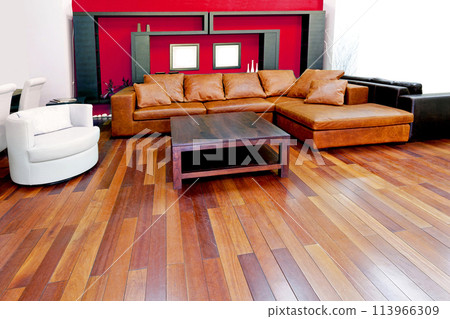 Red living room 113966309