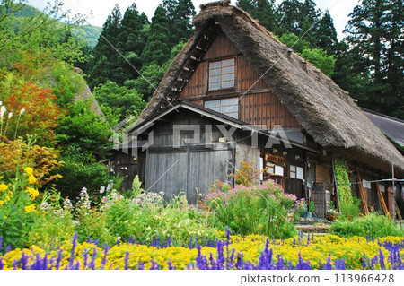 World Heritage Shirakawago Goseisaku Village World Heritage Shirakawago Goseisaku Village 113966428
