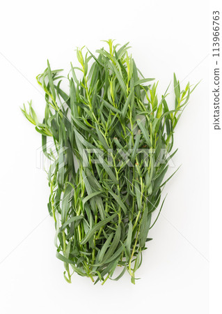 French tarragon on a white background 113966763