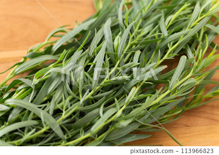 法國龍蒿 113966823