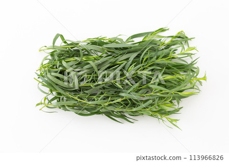 French tarragon on a white background 113966826