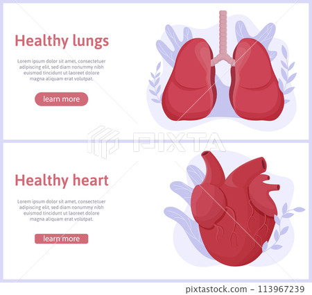 Hand drawn flat organ horizontal banner template collection with a heart and lungs Hand drawn flat organ horizontal banner template collection with a heart and lungs 113967239