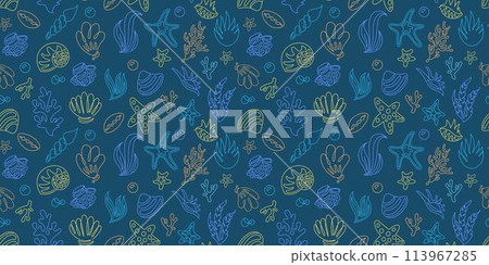 Sea seashell seamless pattern. Ocean nature. Line starfish and seaweeds. Doodle marine background. Linear beach shellfish. Sand conch. Underwater design. Summer vacation. Vector tropical tidy texture 113967285