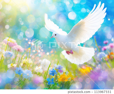 春天色彩繽紛的花田裡,一隻白鴿飛向藍天 春天色彩繽紛的花田裡,一隻白鴿飛向藍天 113967331